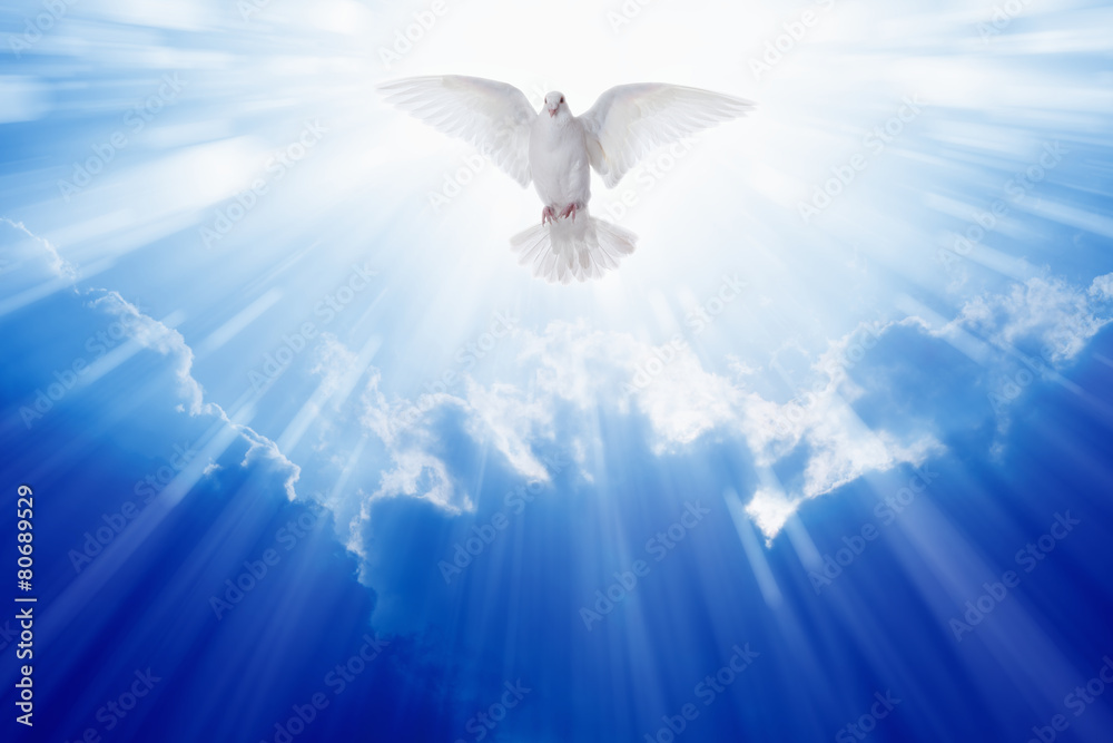 Trinity Trilogy – God The Holy Spirit