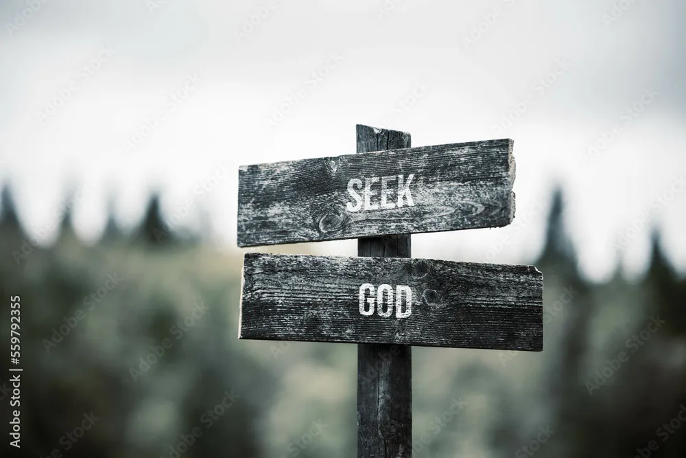 Seek and Find